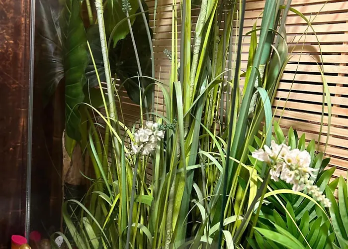 Le Palawan * פרפיניין